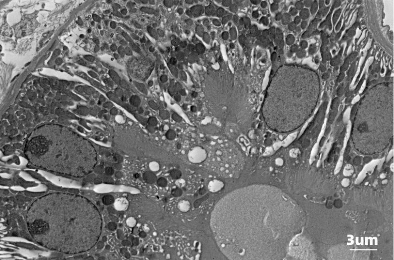 112847_980672_gsdt.png 112847_980672_gsdt.png