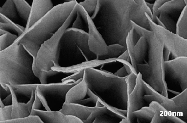 112905_429504_gsdt.png 112905_429504_gsdt.png