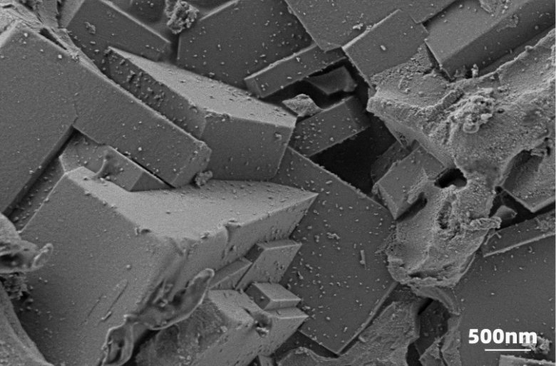 113048_312099_gsdt.png 113048_312099_gsdt.png