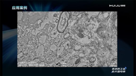 082703_231462_gsdt.png image.png