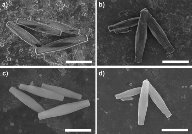 165416_106982_jswz.png 165416_106982_jswz.png