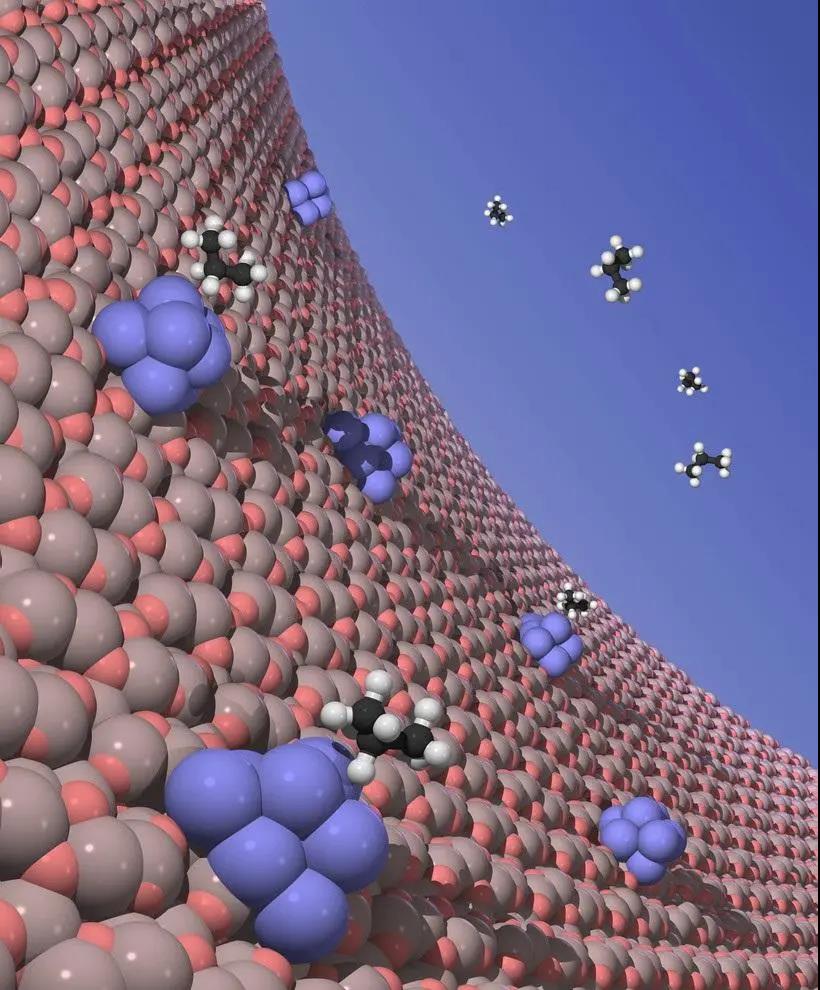 163628_186003_jswz.jpg 1.jpg