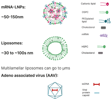 20220825-827716456.png 640 (61).png