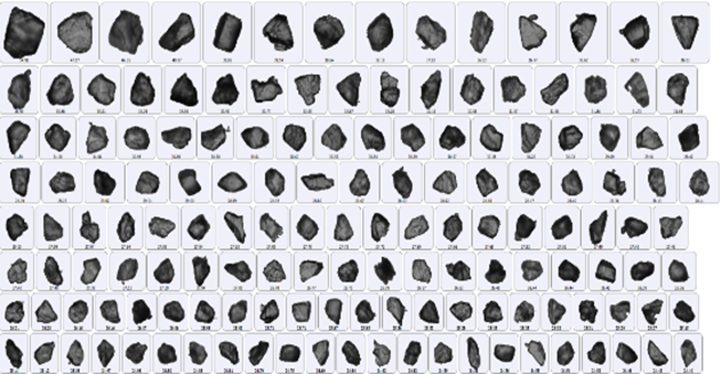 20221118-453095651.png 640 (7).png