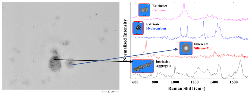 20221118-209564534.png 640 (9).png