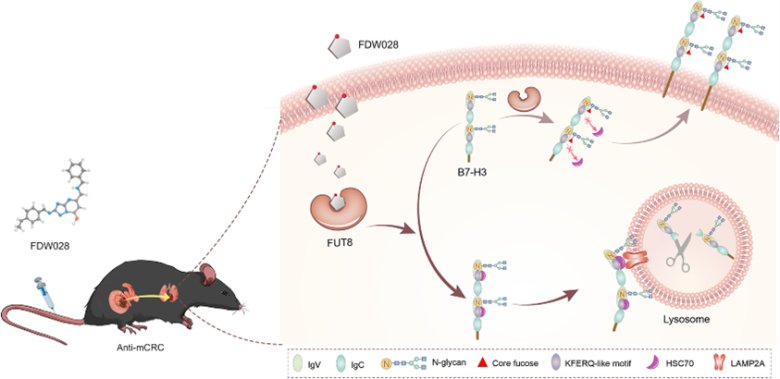 085025_900013_gsdt.png 085025_900013_gsdt.png