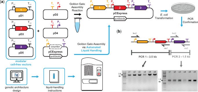090248_552448_jswz.png 090248_552448_jswz.png