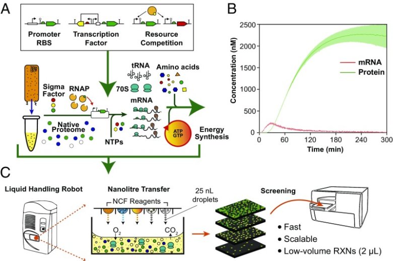 090316_658336_jswz.png 090316_658336_jswz.png