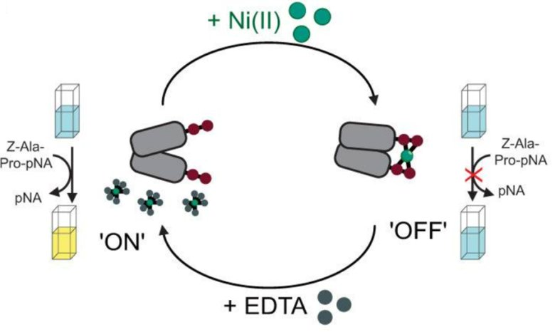 090337_697094_jswz.png 090337_697094_jswz.png