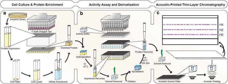 090410_779558_jswz.png 090410_779558_jswz.png