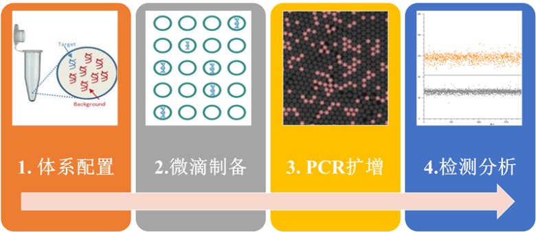 135922_931278_jswz.png 135922_931278_jswz.png