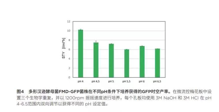 091303_324061_jswz.jpg 091303_324061_jswz.jpg