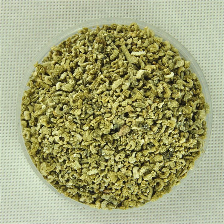 113954_167639_procont.jpg 2179289316_165064227_副本_副本.jpg