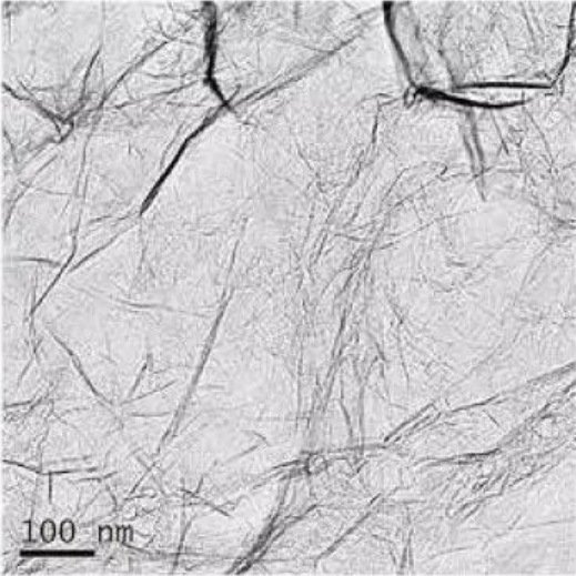 173103_145917_procont.jpg 00.jpg