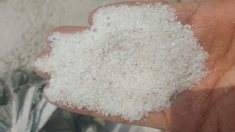 100526_989024_procont.jpg ?jpg