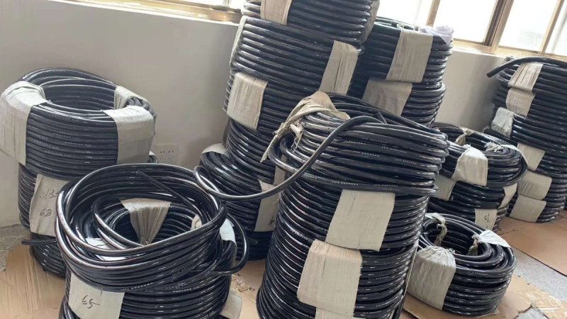 100247_278471_procont.jpg 3 (2).jpg