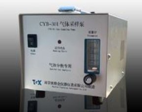 CYB-301型专用气体采 泵的图片