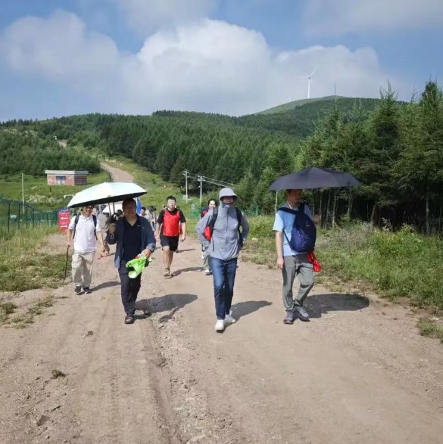 171632_120931_gsdt.png 171632_120931_gsdt.png