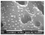 page2image7567584 page2image7567584