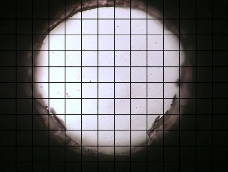 113647_411778_jswz.png image006.png