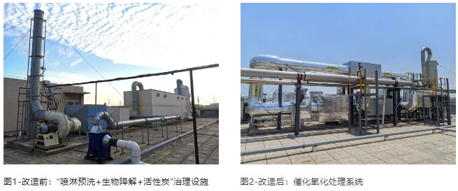 1662004409202408.png 谱育科技