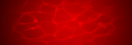 091448_833331_gsdt.gif 微信图片_20230828091151.gif