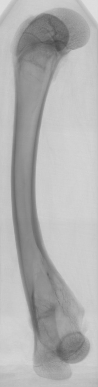 151137_065129_gsdt.png 151137_065129_gsdt.png