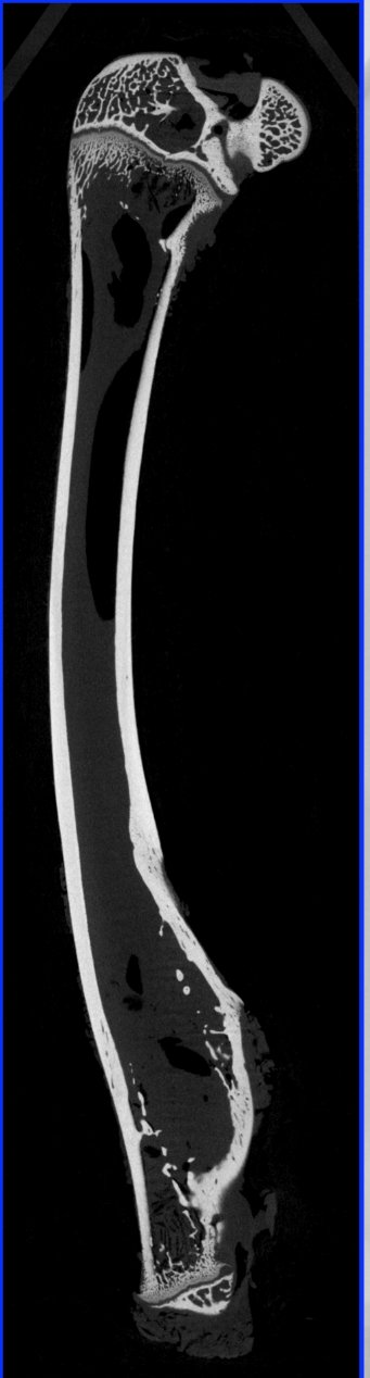 151204_567700_gsdt.png 151204_567700_gsdt.png