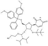 103057_154462_gsdt.png 微信图片_20231212101428.png