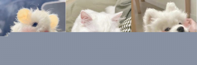 095756_938942_jswz.png 2.png