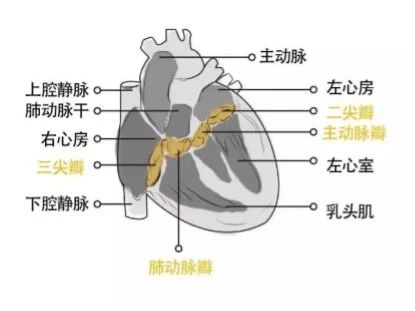 165725_102509_jswz.jpg 微信图片_20240111165535.jpg