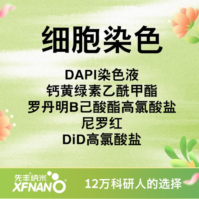 104145_935845_gsdt.png 104145_935845_gsdt.png