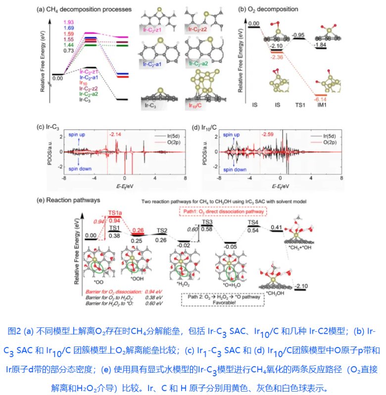 103332_411365_gsdt.png 中山大学杨乐老师课题组2.png