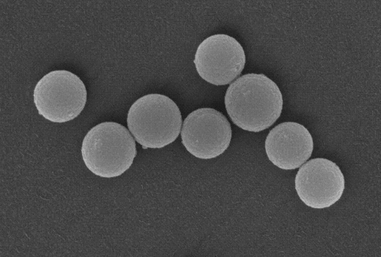 084421_327920_gsdt.png 图片4.png