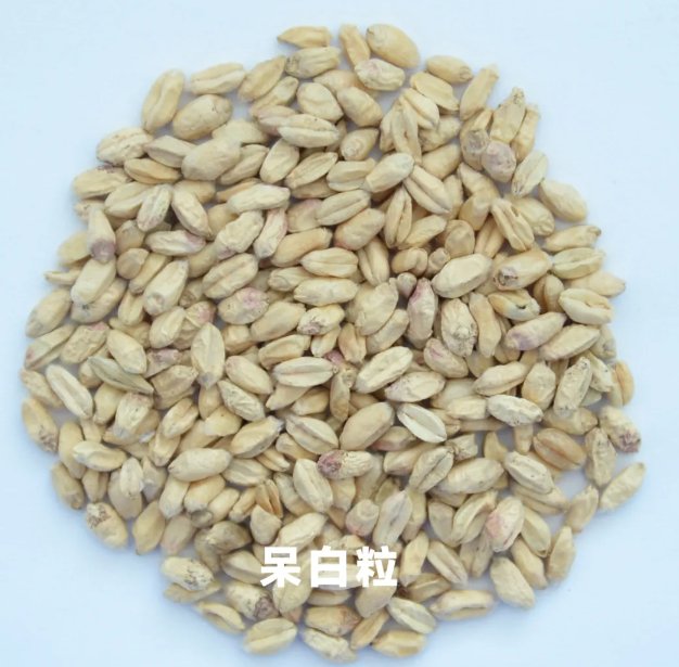 092421_157386_gsdt.png 092421_157386_gsdt.png