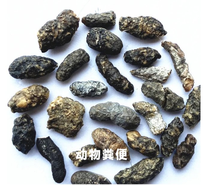 092530_985141_gsdt.png 092530_985141_gsdt.png