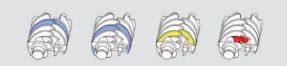 115348_308994_jswz.png