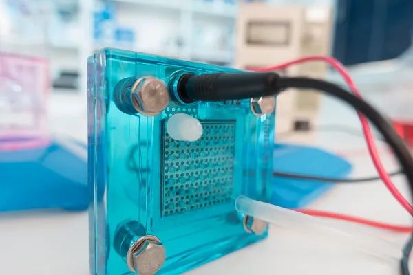 092349_719097_gsdt.jpg 092349_719097_gsdt.jpg