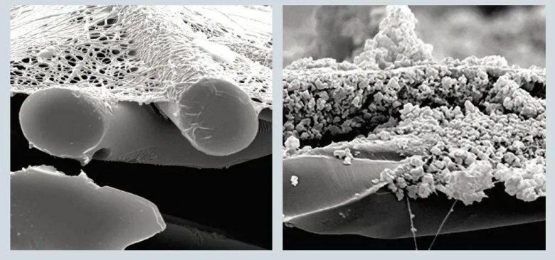 113944_016137_gsdt.jpg 113944_016137_gsdt.jpg