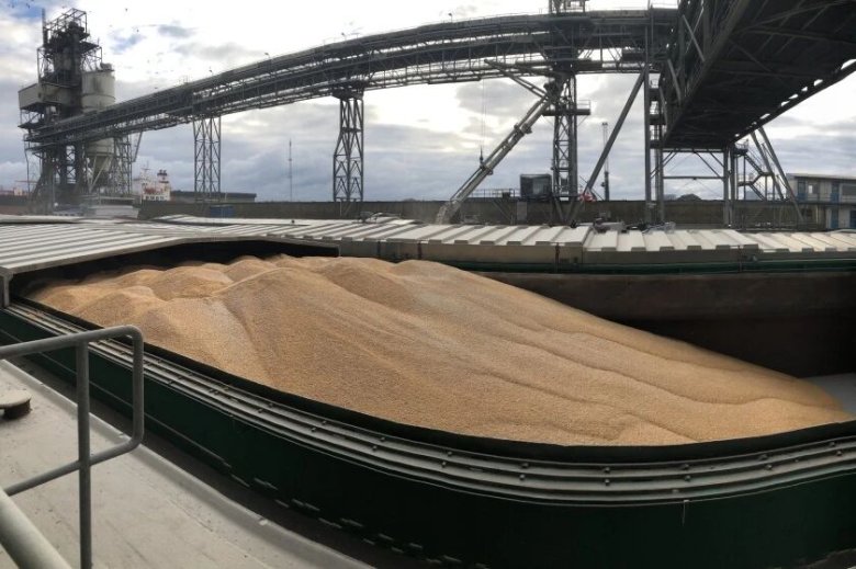 100356_337643_gsdt.jpg 100356_337643_gsdt.jpg