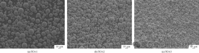 090128_316478_jswz.jpg 090128_316478_jswz.jpg