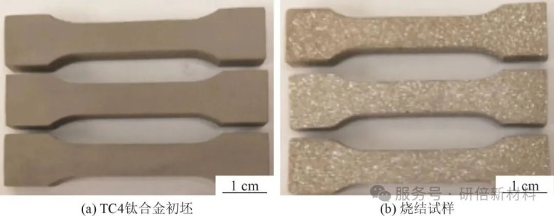 090202_655510_jswz.jpg 090202_655510_jswz.jpg