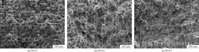 090719_481079_jswz.jpg 090719_481079_jswz.jpg