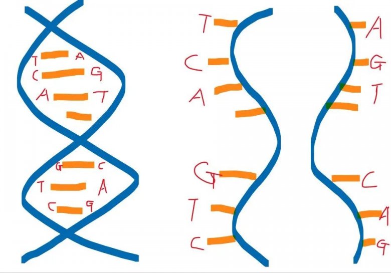 001109_925799_gsdt.png 13.png