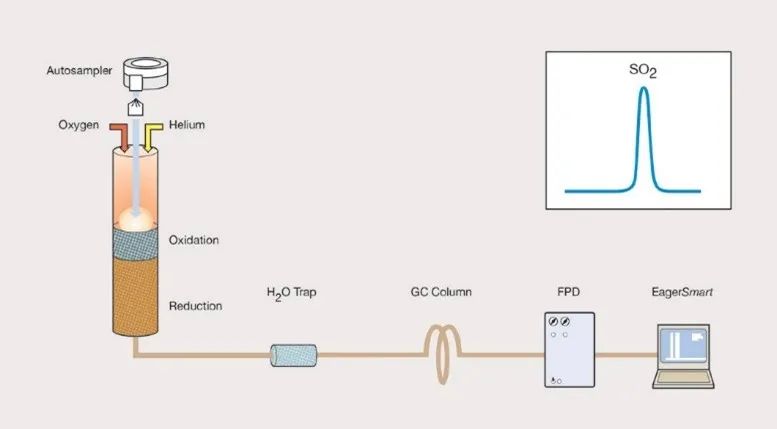 20220719-917147127.jpg 640 (35).jpg