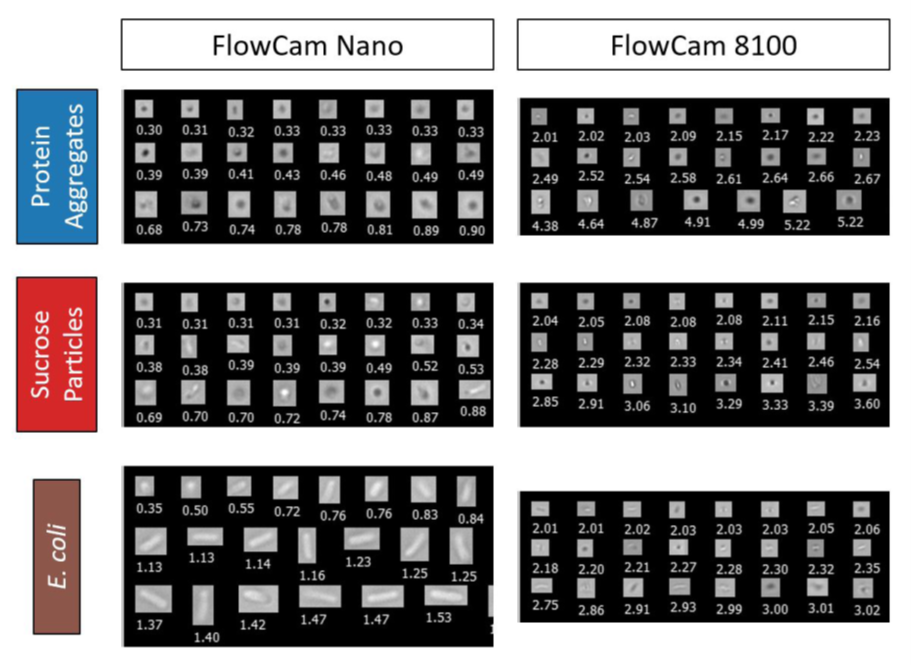 20220719-260765082.png 640 (20).png