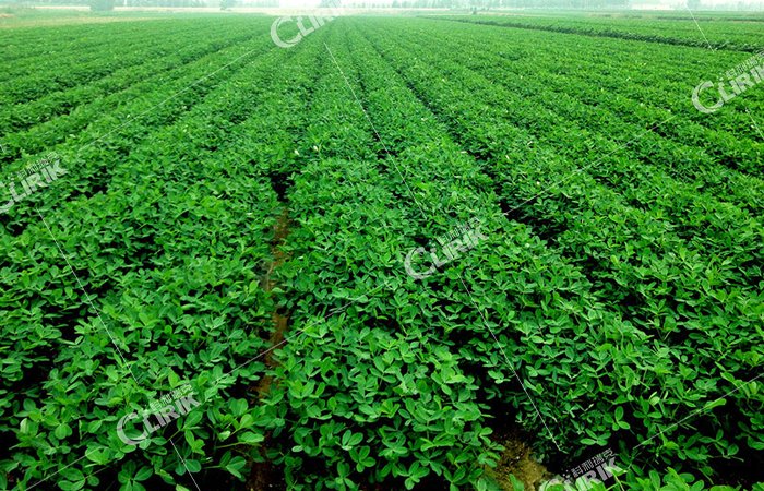 104721_073776_gsdt.png 微信图片_20220909102735.png