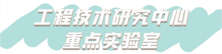 111625_221483_gsdt.png 111625_221483_gsdt.png