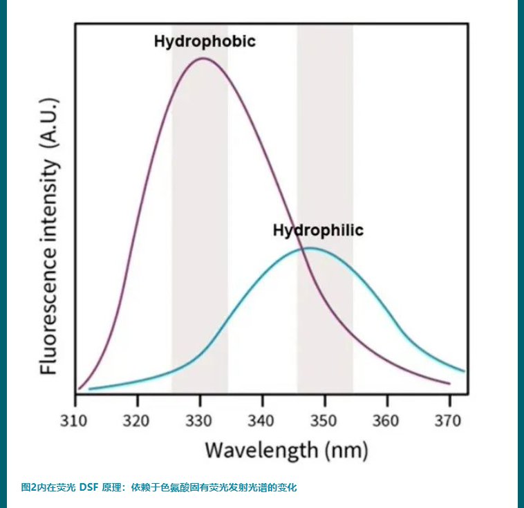 112130_846295_jswz.png 112130_846295_jswz.png