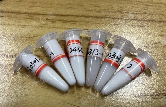 142426_546969_jswz.png image.png